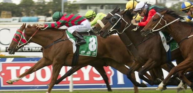 Forster - Rosehill - 10/05/2014